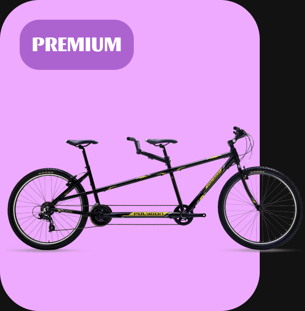 premium cycles